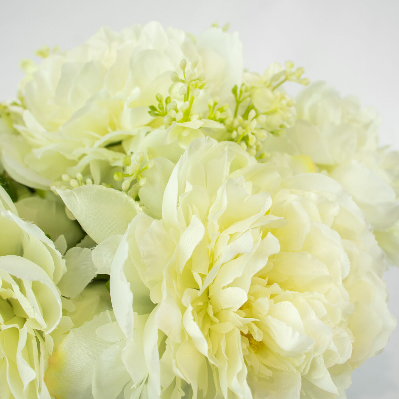 PEONY WHITES IN TULIP VASE