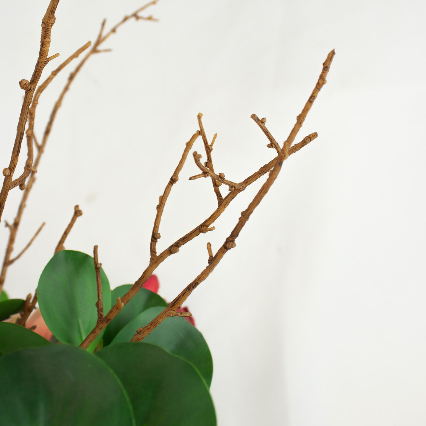 PROTEA MIX WITH FOLIAGE AND TWIG IN GLASS VASE
