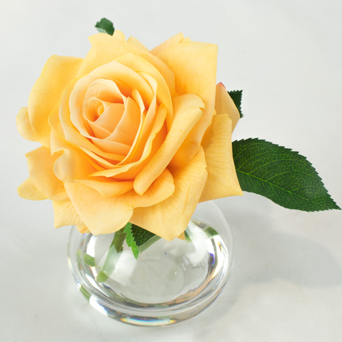ROSE RT PEACH IN BUD VASE