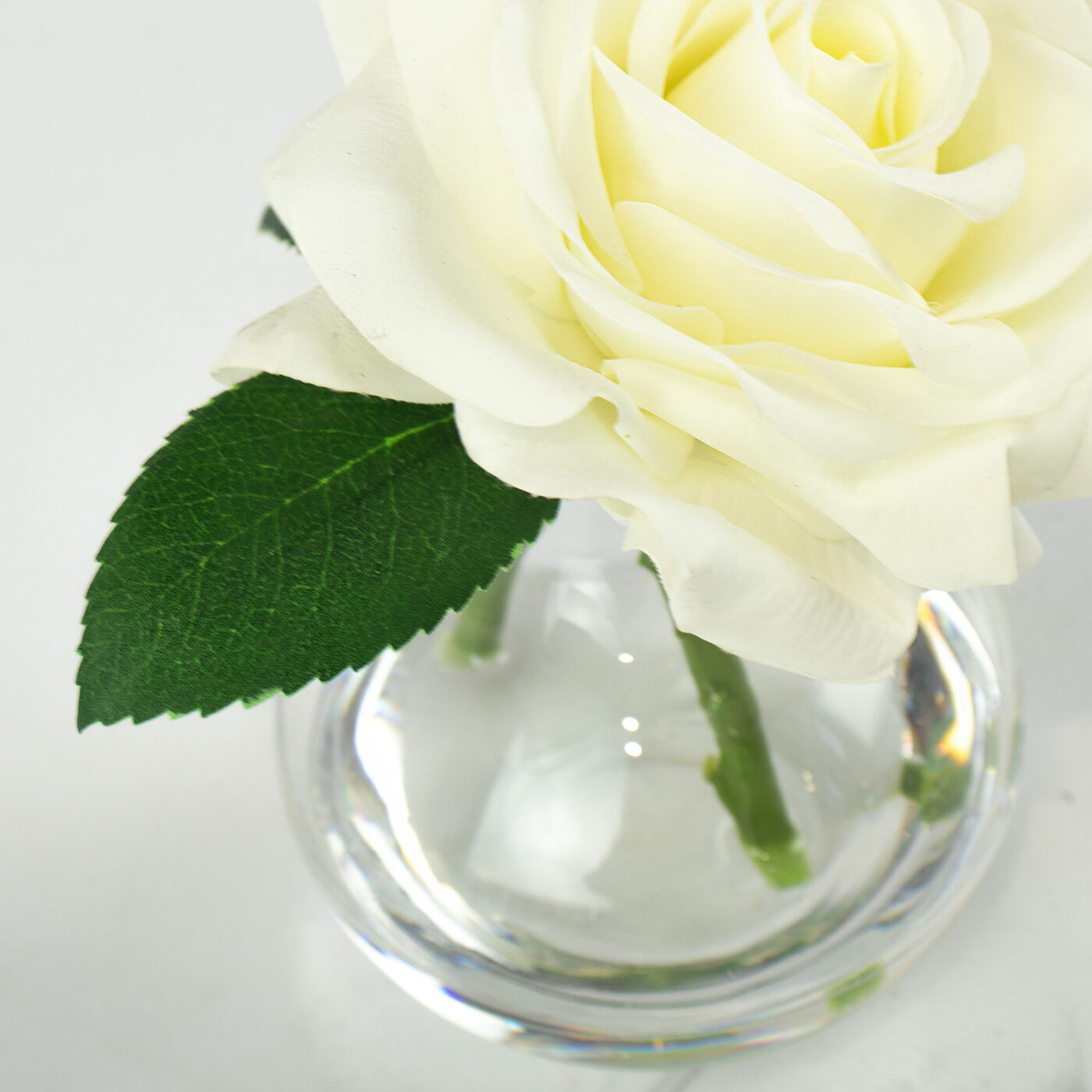 ROSE RT WHITE IN BUD VASE