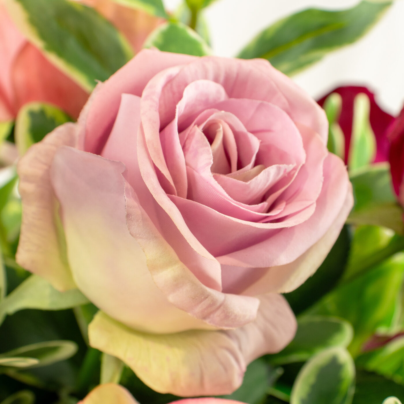 ROSES FUCHSIA WITH FOLIAGE IN BARREL VASE
