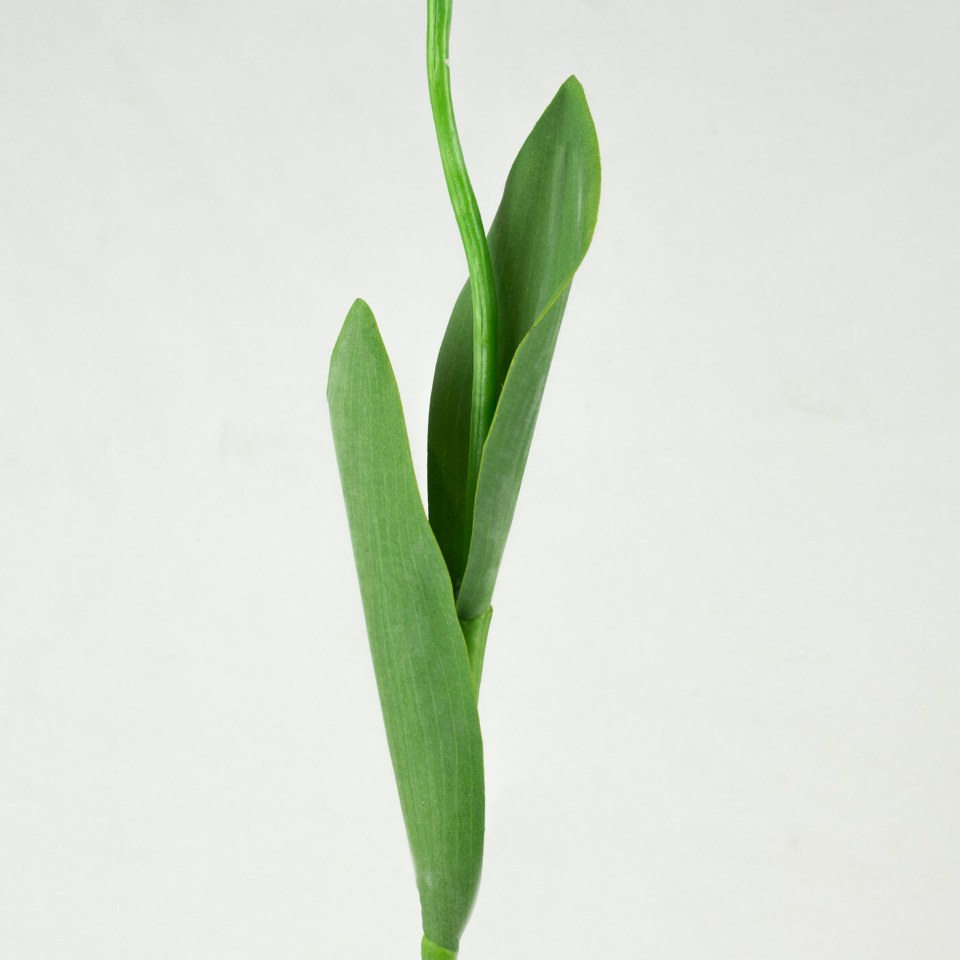 Tulip Stem with Leaves Real Touch - HOT PINK 67CM