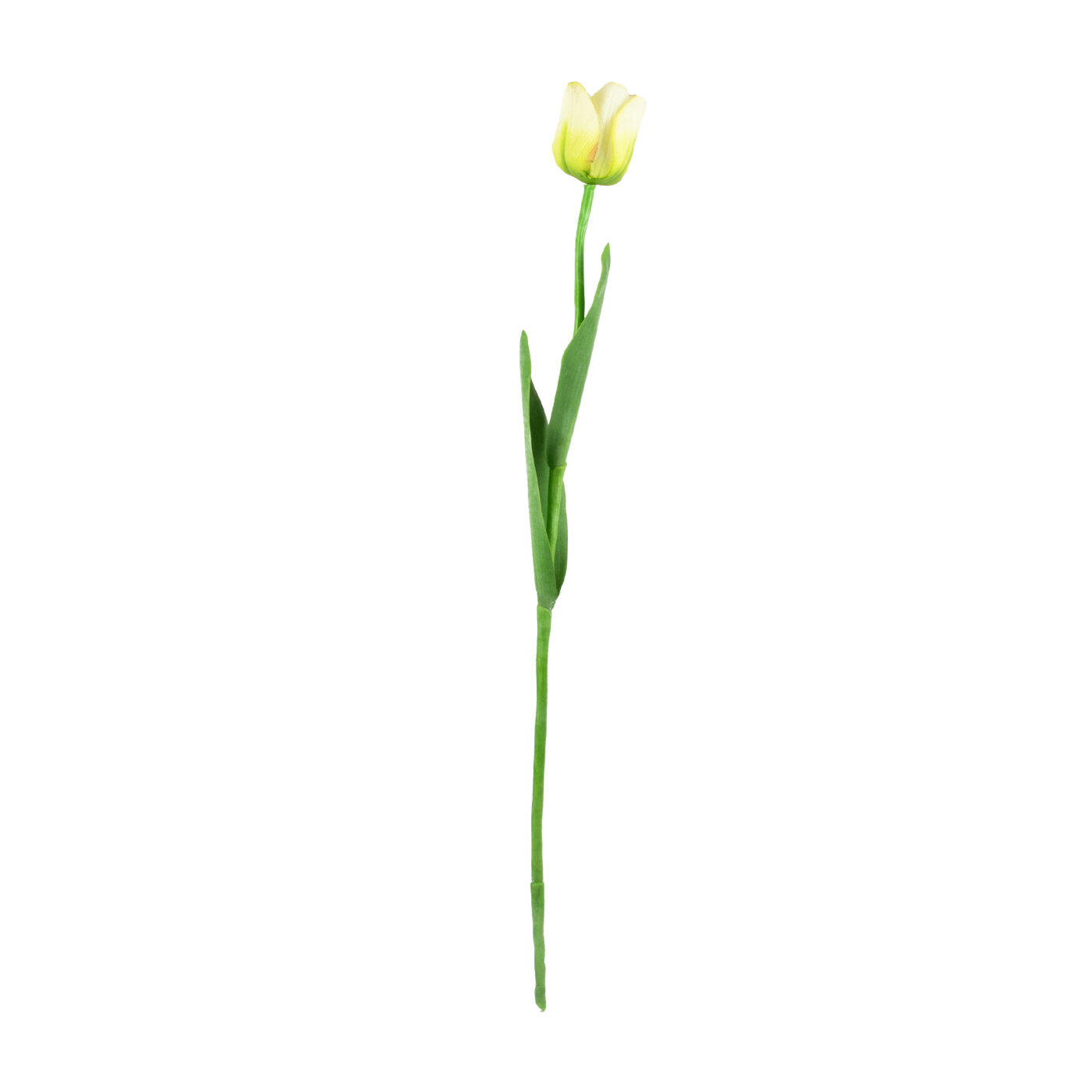 Tulip Stem with Leaves Real Touch - LIME 66CM