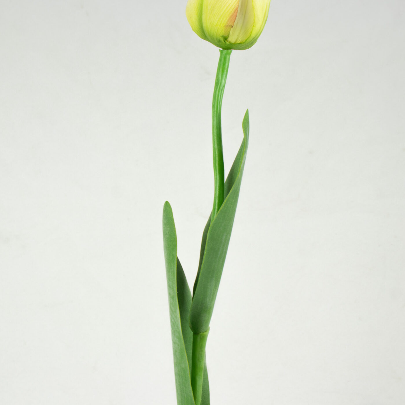 Tulip Stem with Leaves Real Touch - LIME 66CM