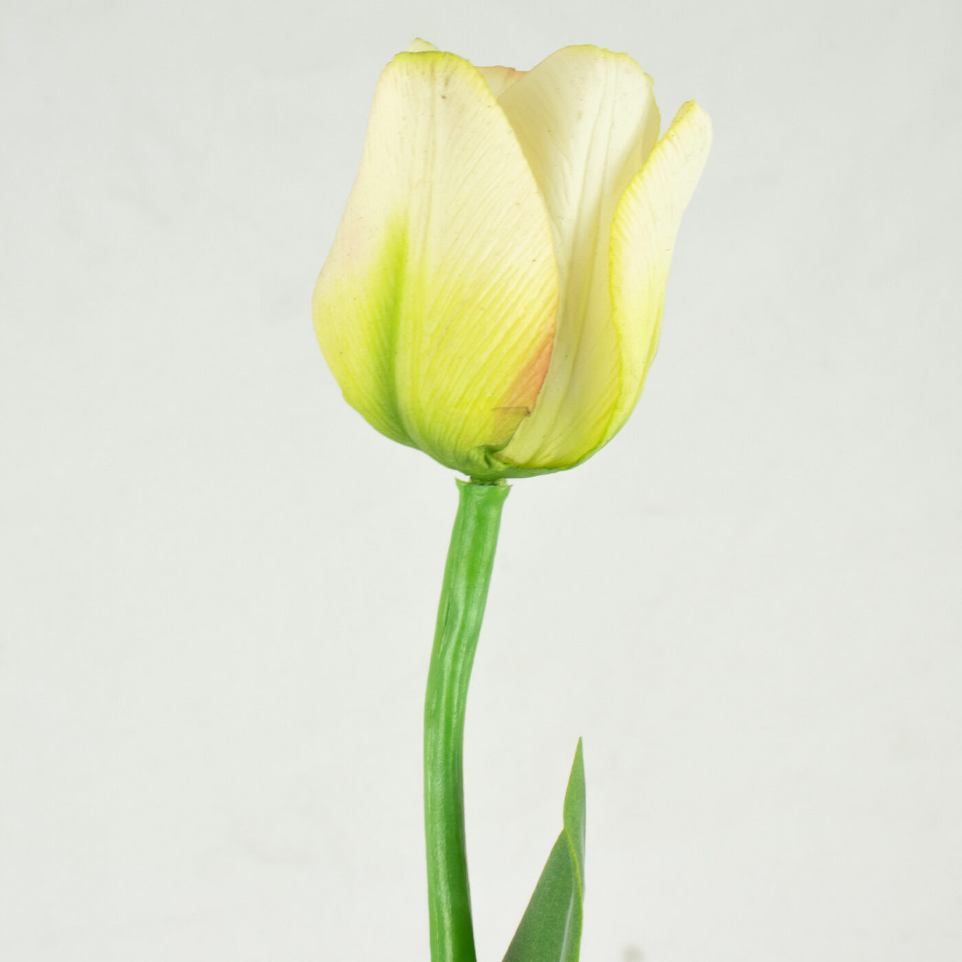 Tulip Stem with Leaves Real Touch - LIME 66CM