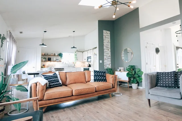 How to add warmth to your airbnb with plants