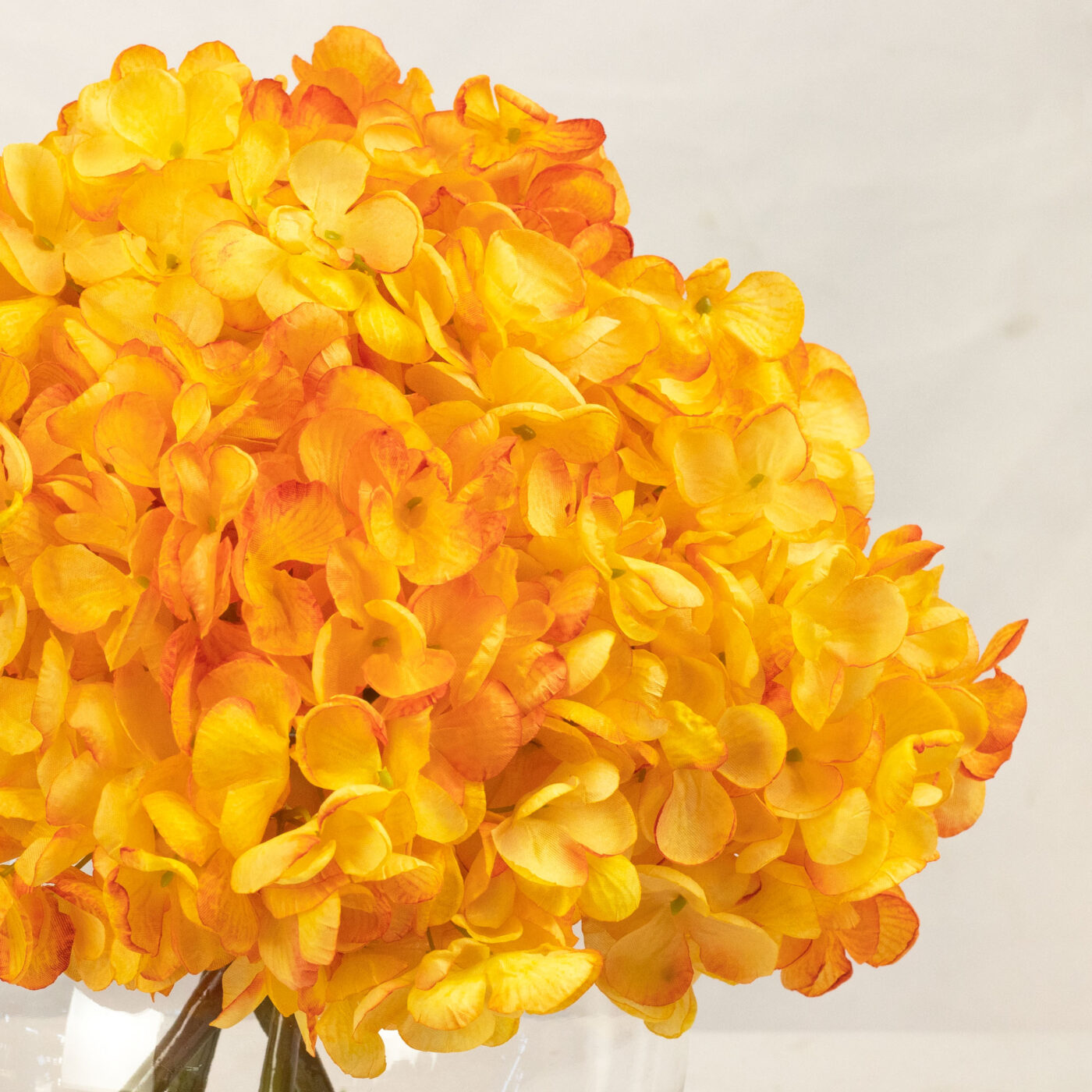 DRY LOOK HYDRANGEA ORANGE IN BALL VASE