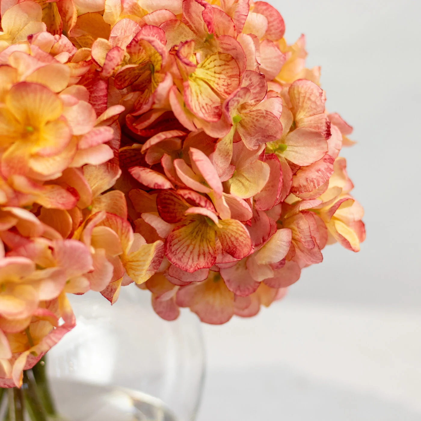 DRY LOOK HYDRANGEA PINK IN BALL VASE