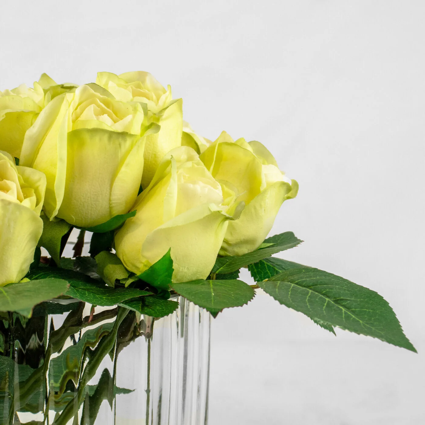 LISA ROSE MINT IN RIBBED RECT VASE