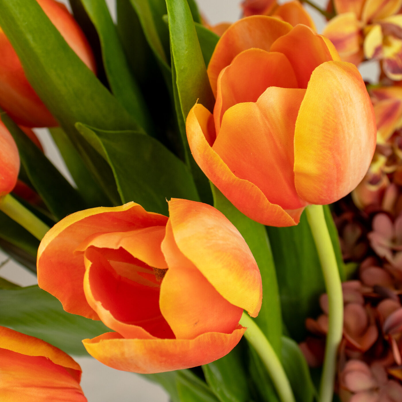 TULIPS ORANGE WITH CYMBIDIUM ORCHID AND FOLIAGE IN CURVE VASE