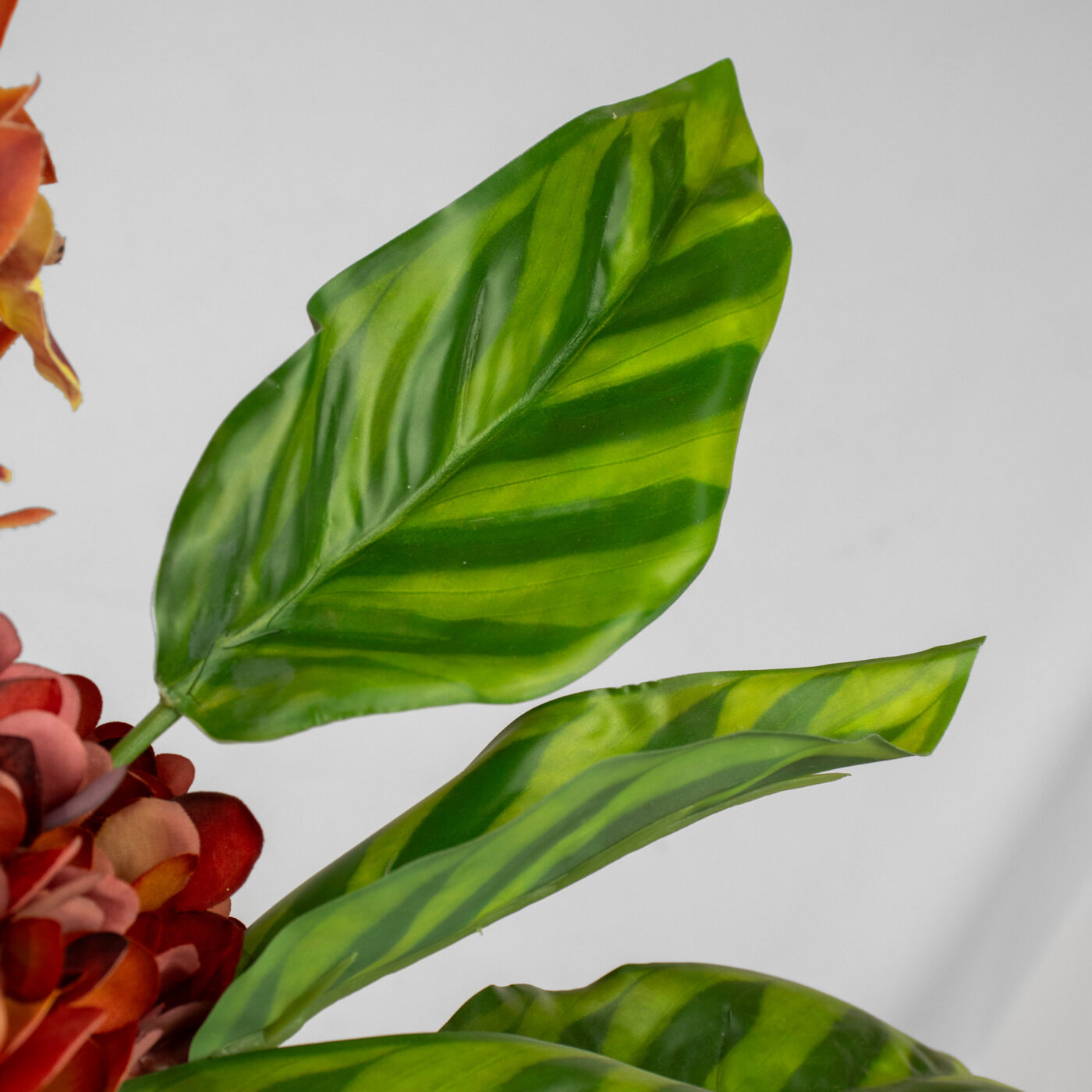 TULIPS ORANGE WITH CYMBIDIUM ORCHID AND FOLIAGE IN CURVE VASE