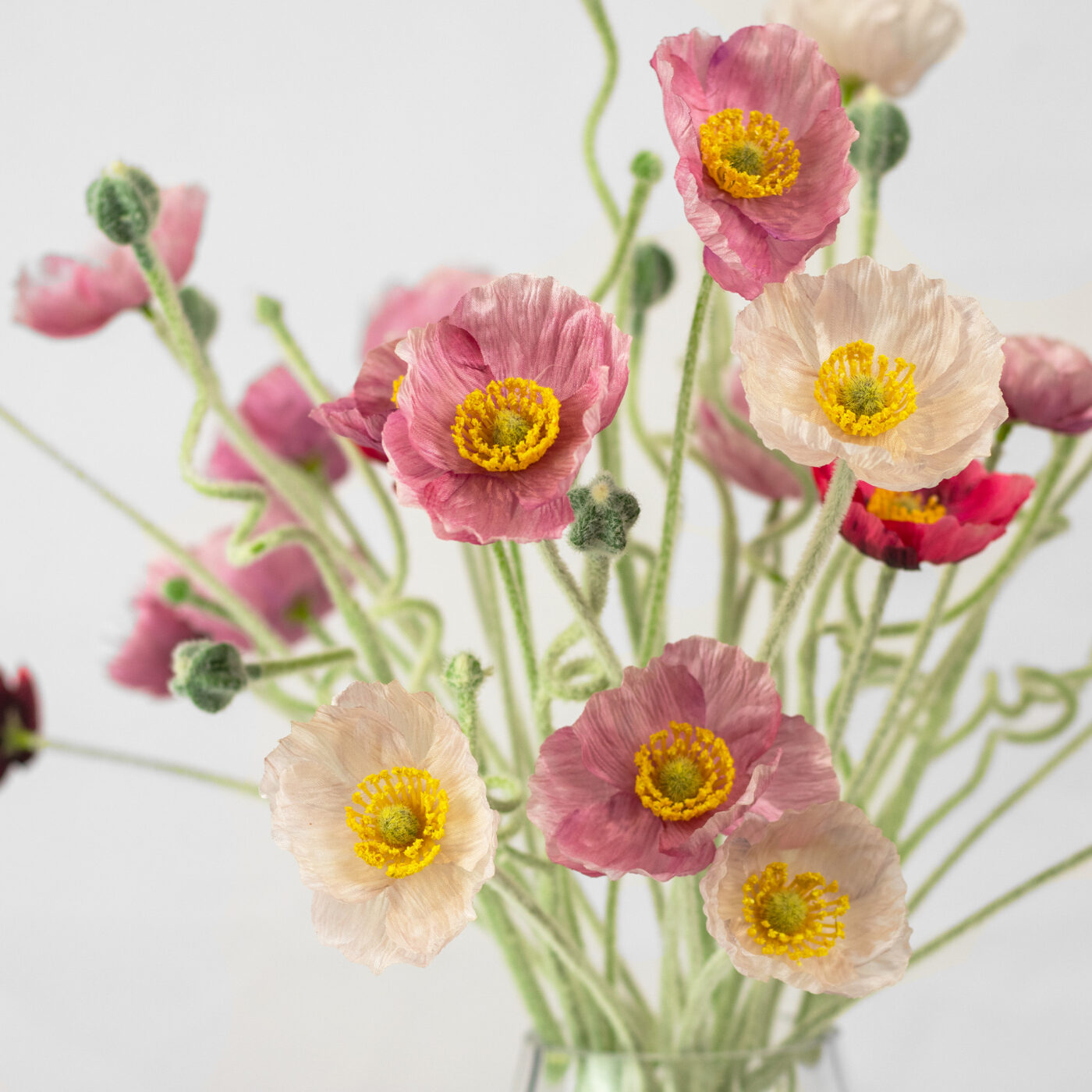 POPPY MIX IN TAPERED VASE