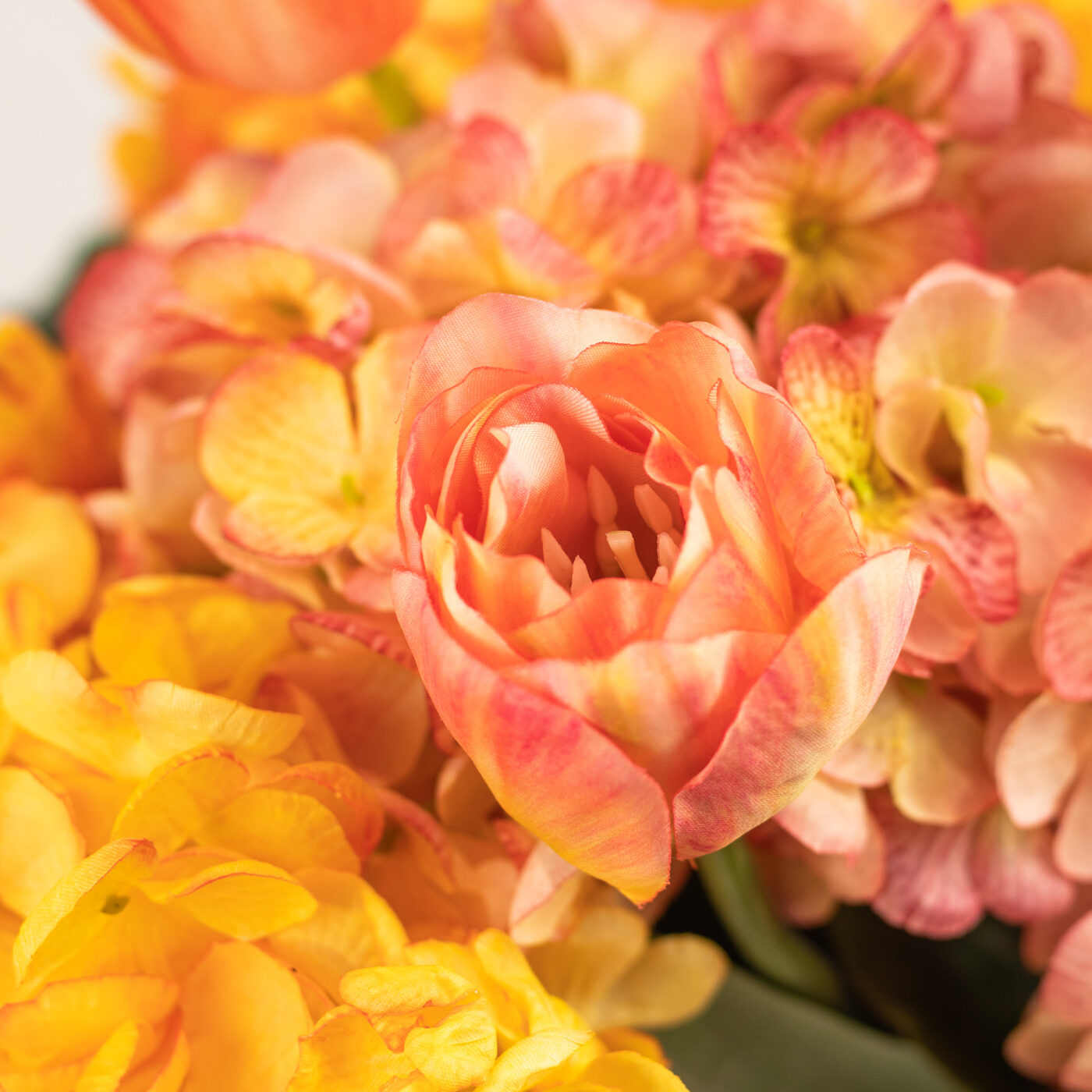 HYDRANGEA ORANGE AND PINK WITH TULIPS IN GLASS VASE