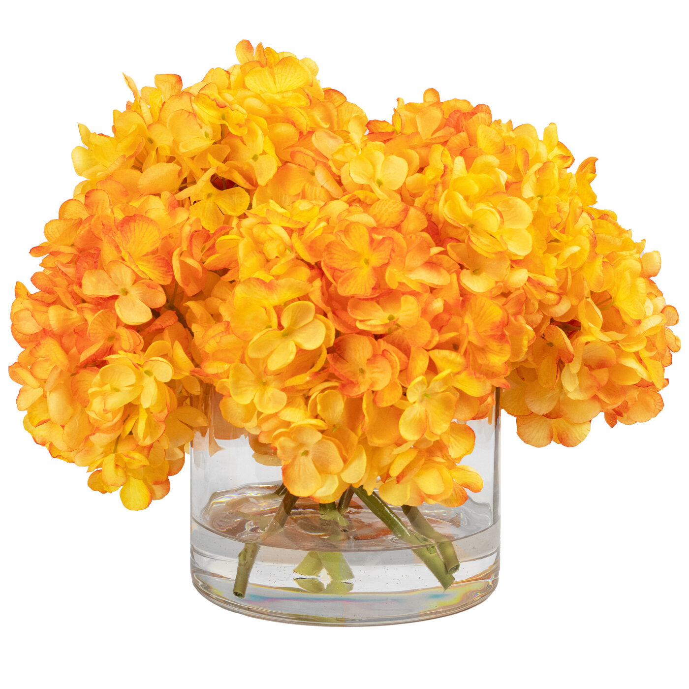 HYDRANGEA DRY ORANGE IN FAT CYLINDER VASE