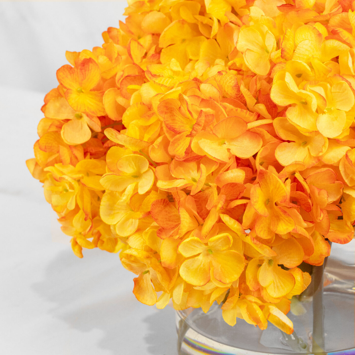 HYDRANGEA DRY ORANGE IN FAT CYLINDER VASE