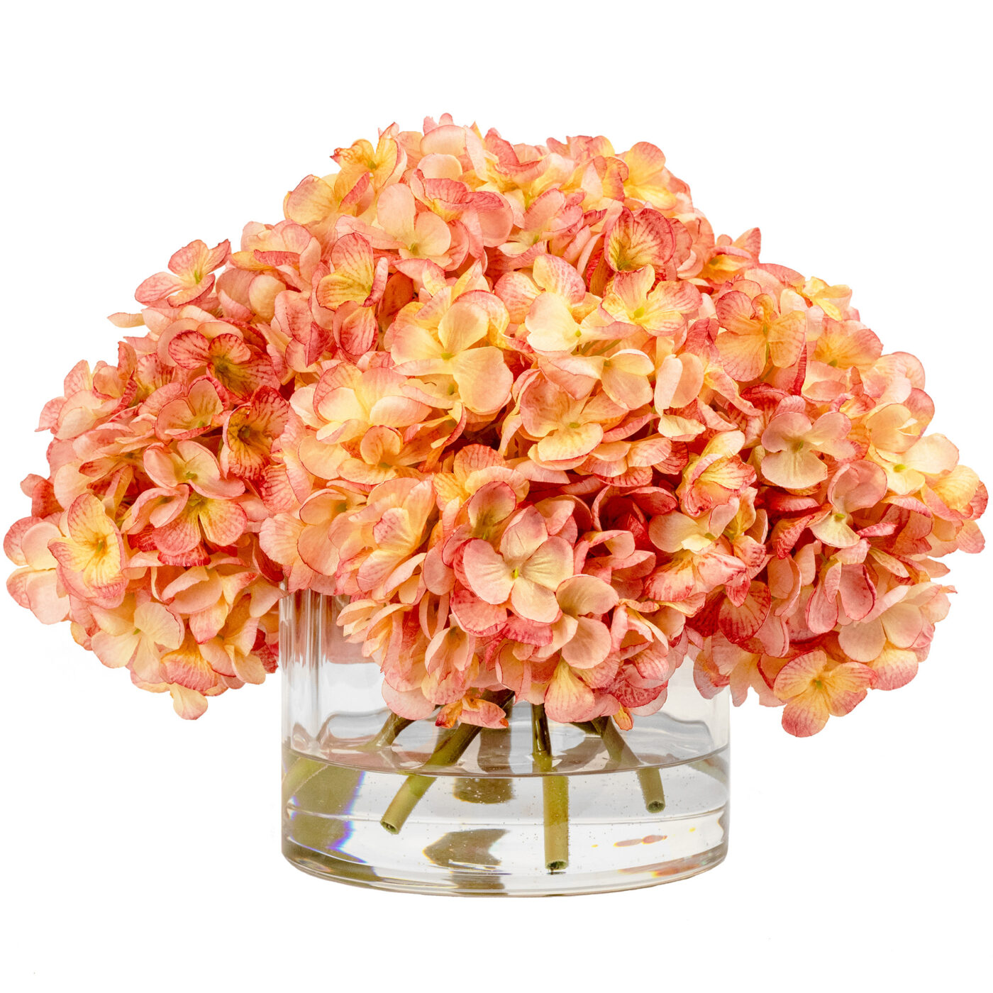 HYDRANGEA DRY PINK IN FAT CYLINDER VASE