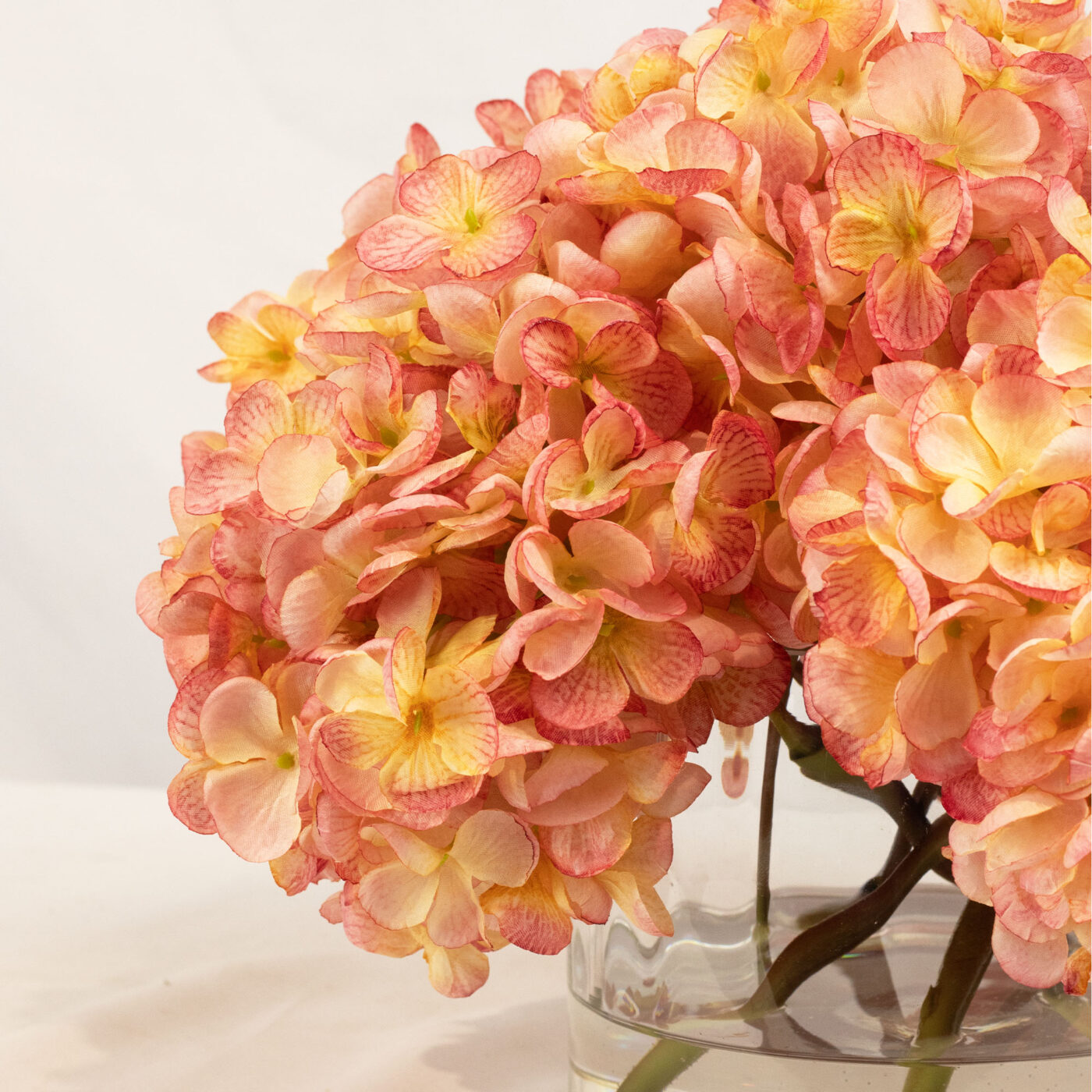 HYDRANGEA DRY PINK IN FAT CYLINDER VASE