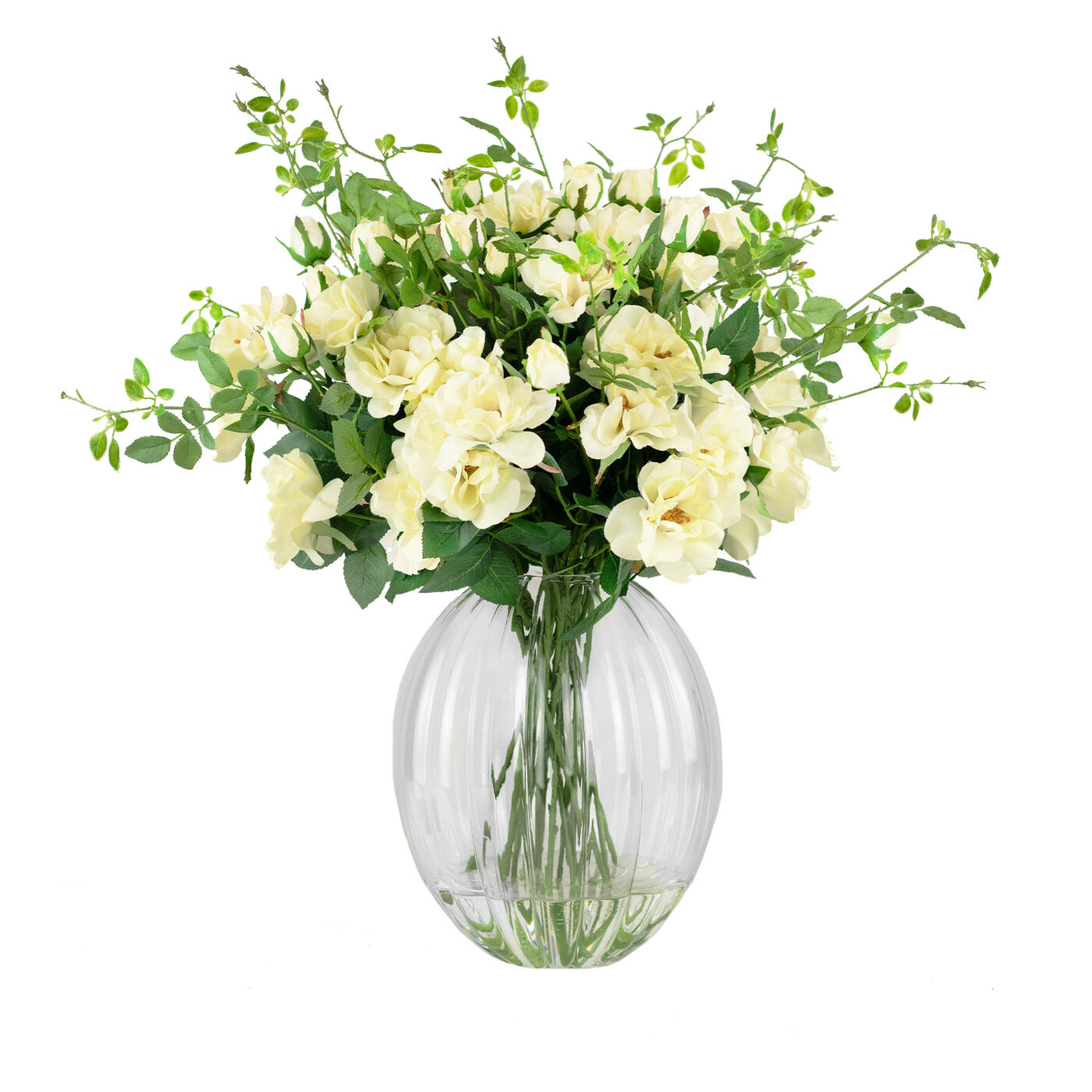 TEA ROSE CREAM IN RIBBED OPTIC VASE