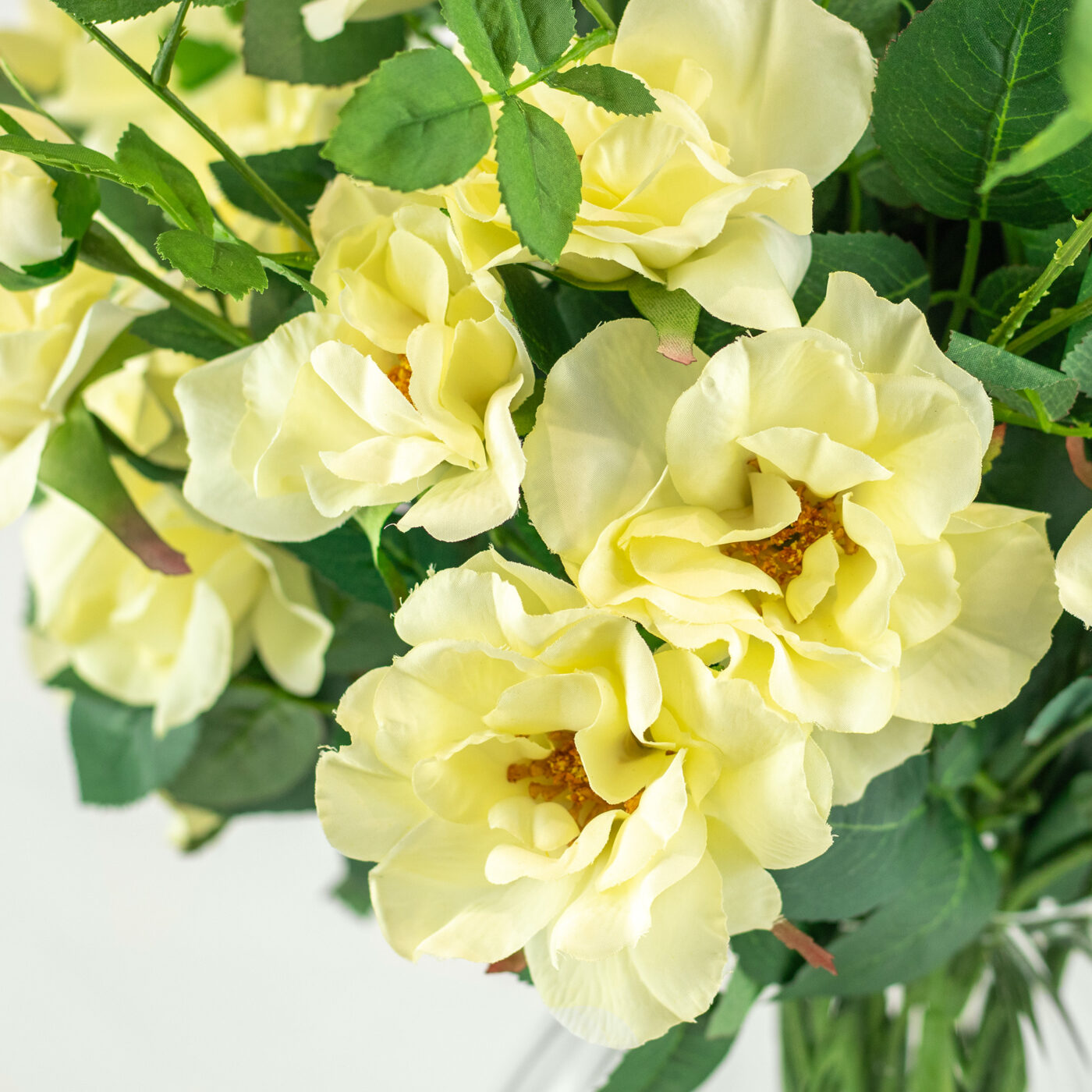 TEA ROSE CREAM IN RIBBED OPTIC VASE