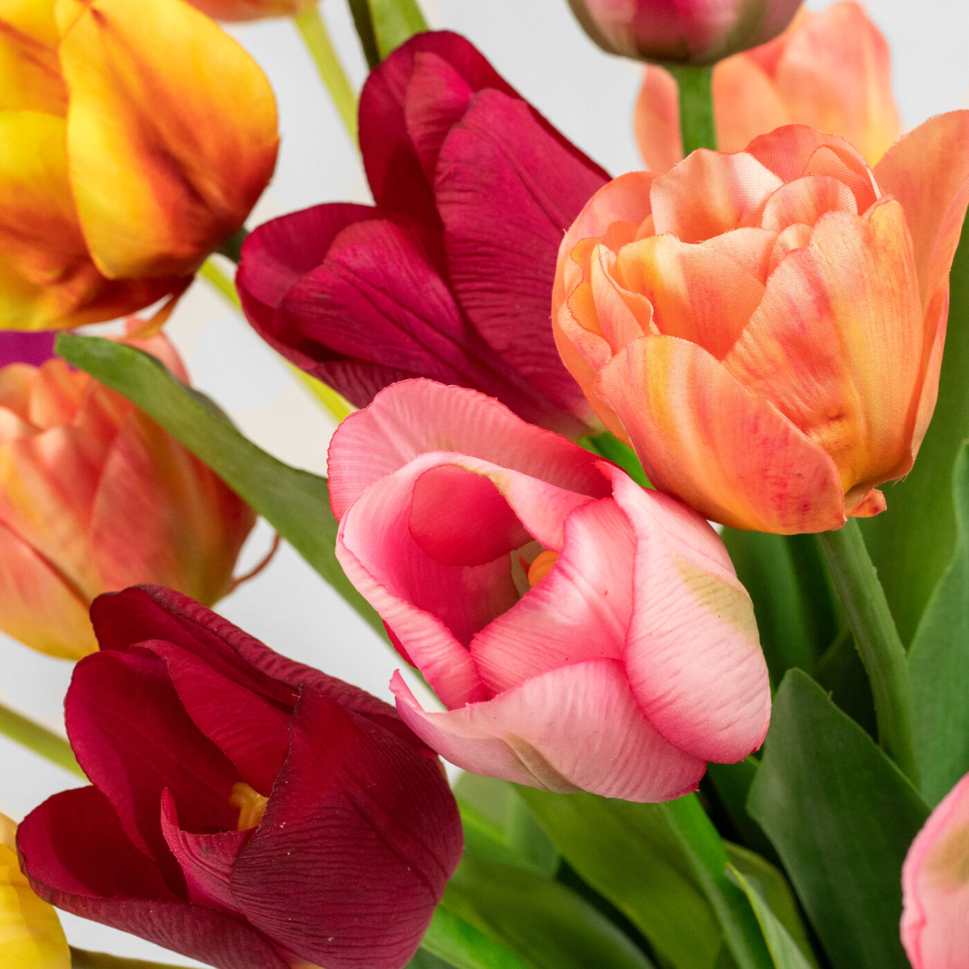 MIXED TULIP ARRANGEMENT IN LARGE TULIP VASE