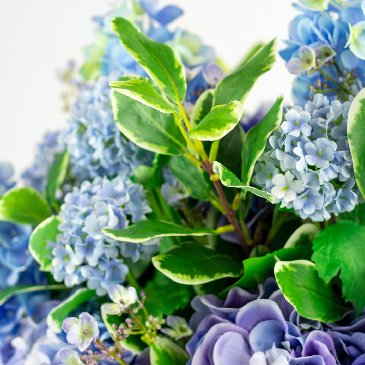 MIXED BLUE HYDRANGEAS IN BARREL VASE