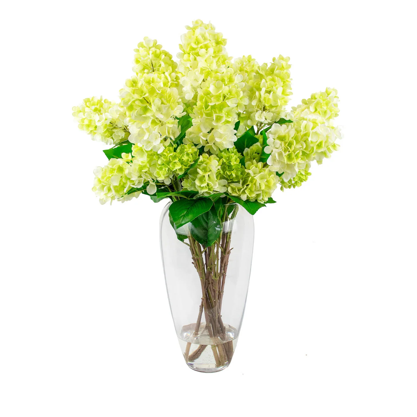 CONE HYDRANGEA GREEN CREAM IN SWIRL VASE