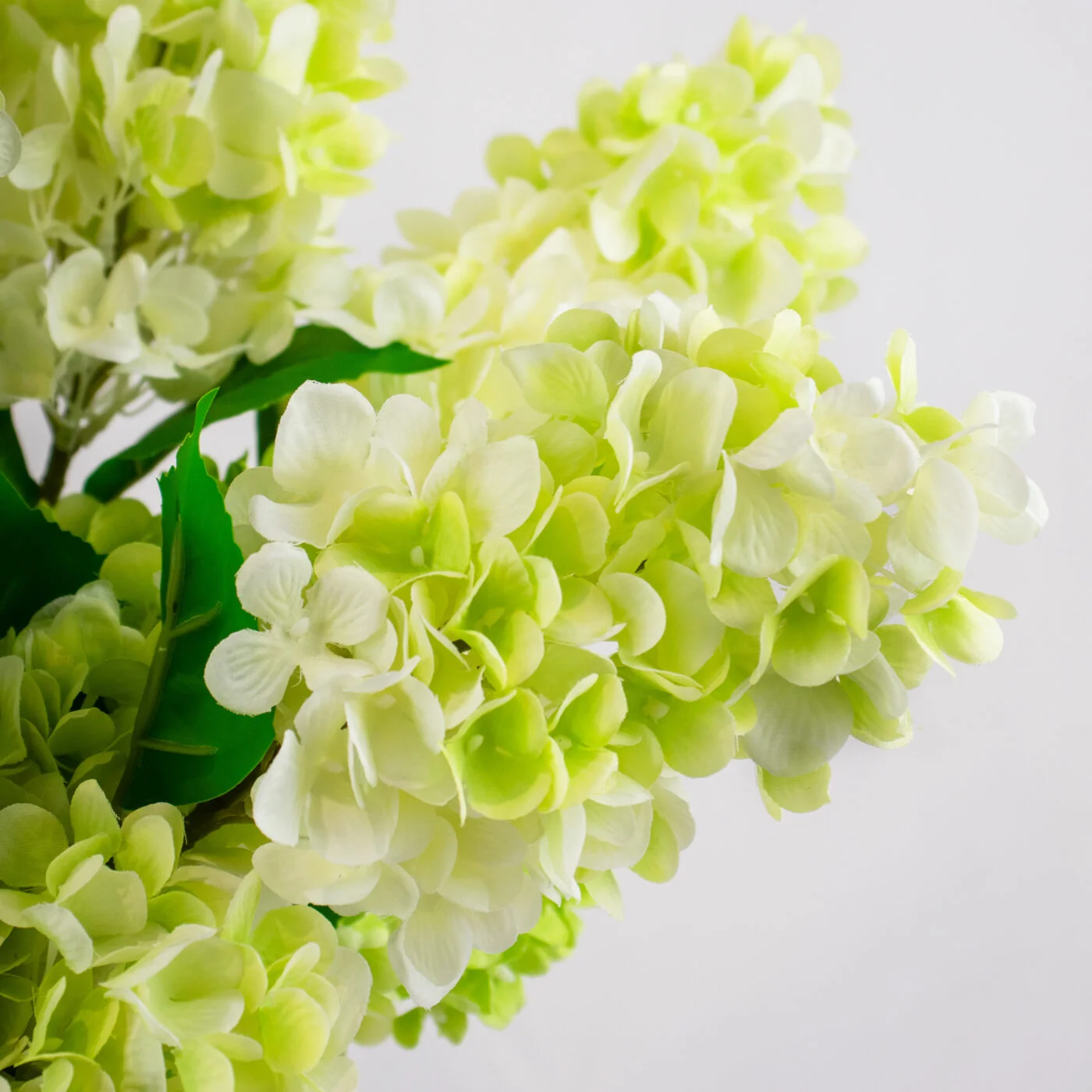 CONE HYDRANGEA GREEN CREAM IN SWIRL VASE