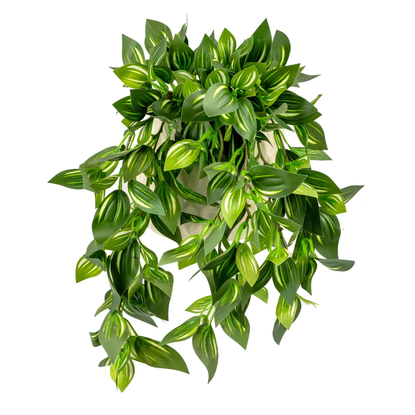 HANGING WANDERING JEW IN 11CM CERAMIC POT