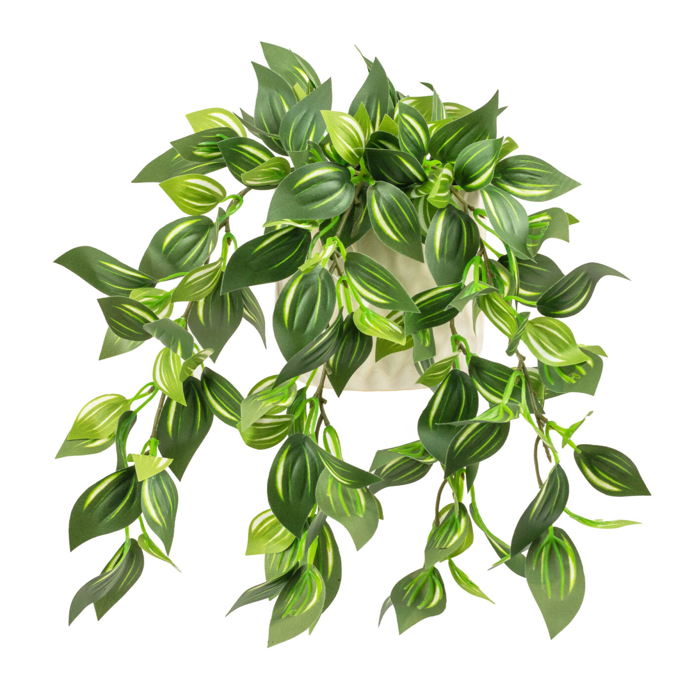 WANDERING JEW IN 14CM MEDIUM CERAMIC PLANTER
