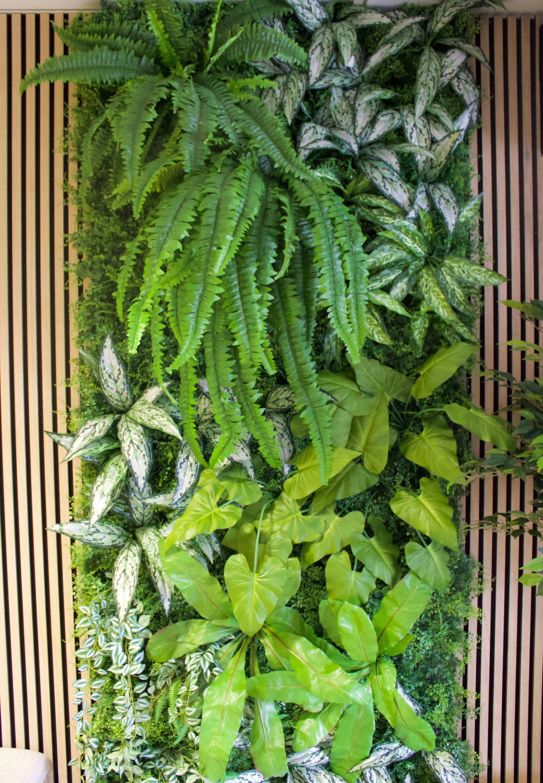 Treehouse Workspace Umhlanga greenwall installation by Silk by design.