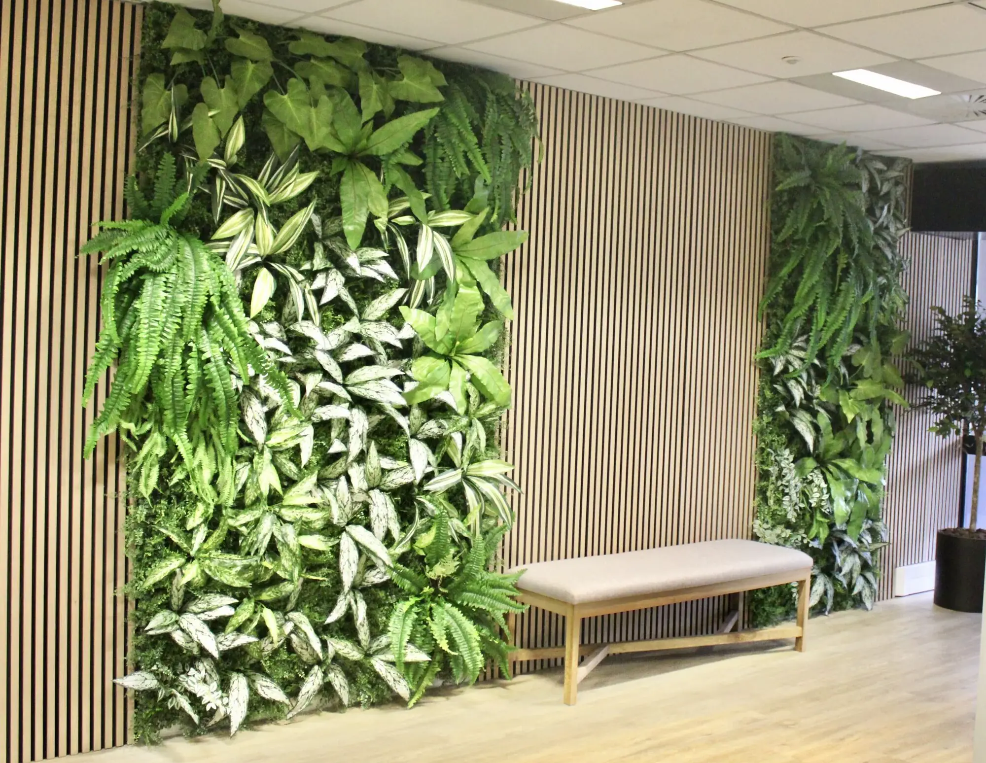 Treehouse Workspace Umhlanga greenwall installation by Silk by design.