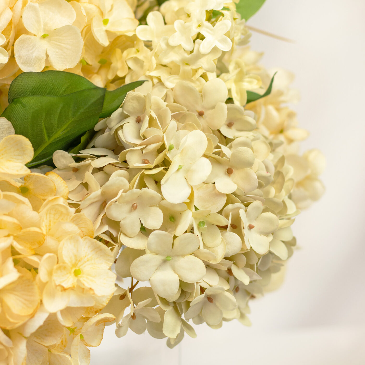 HYDRANGEA DRY CREAM WITH LILAC AND PAMPAS GRASS