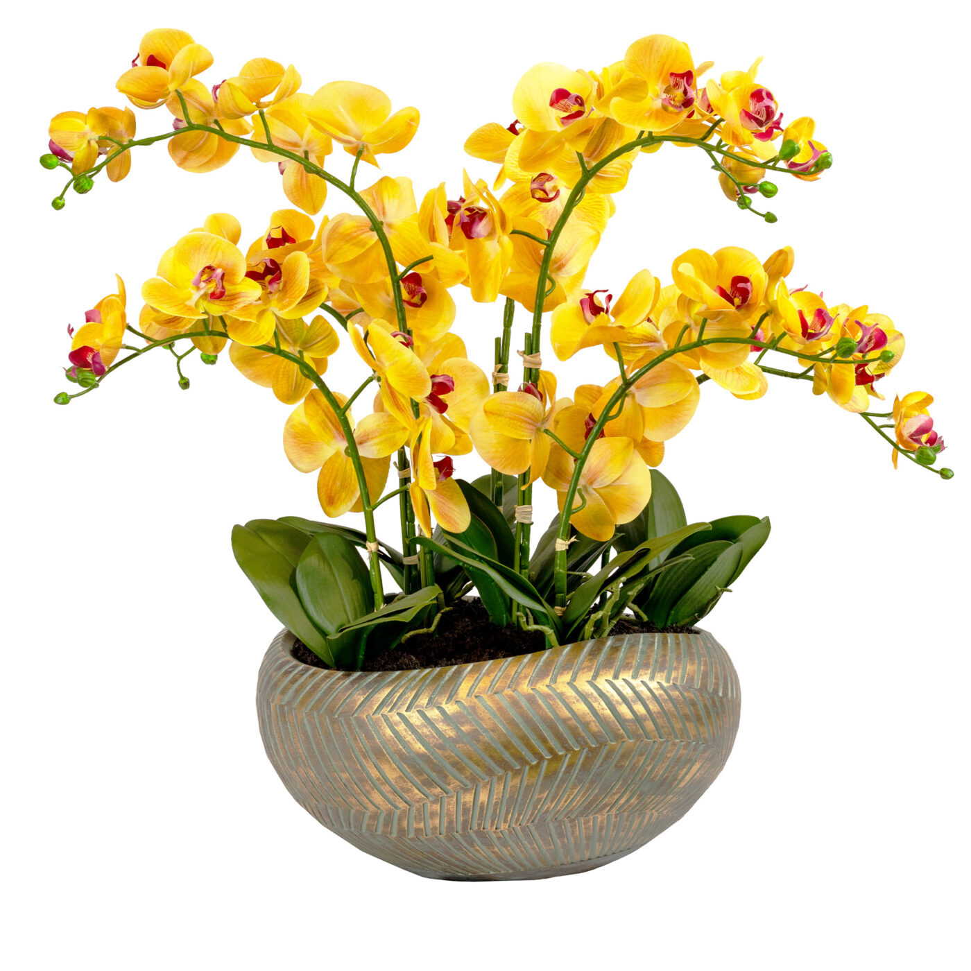 PHALAENOPSIS YELLOW IN COPPER RIBBED PLANTER - 80CM