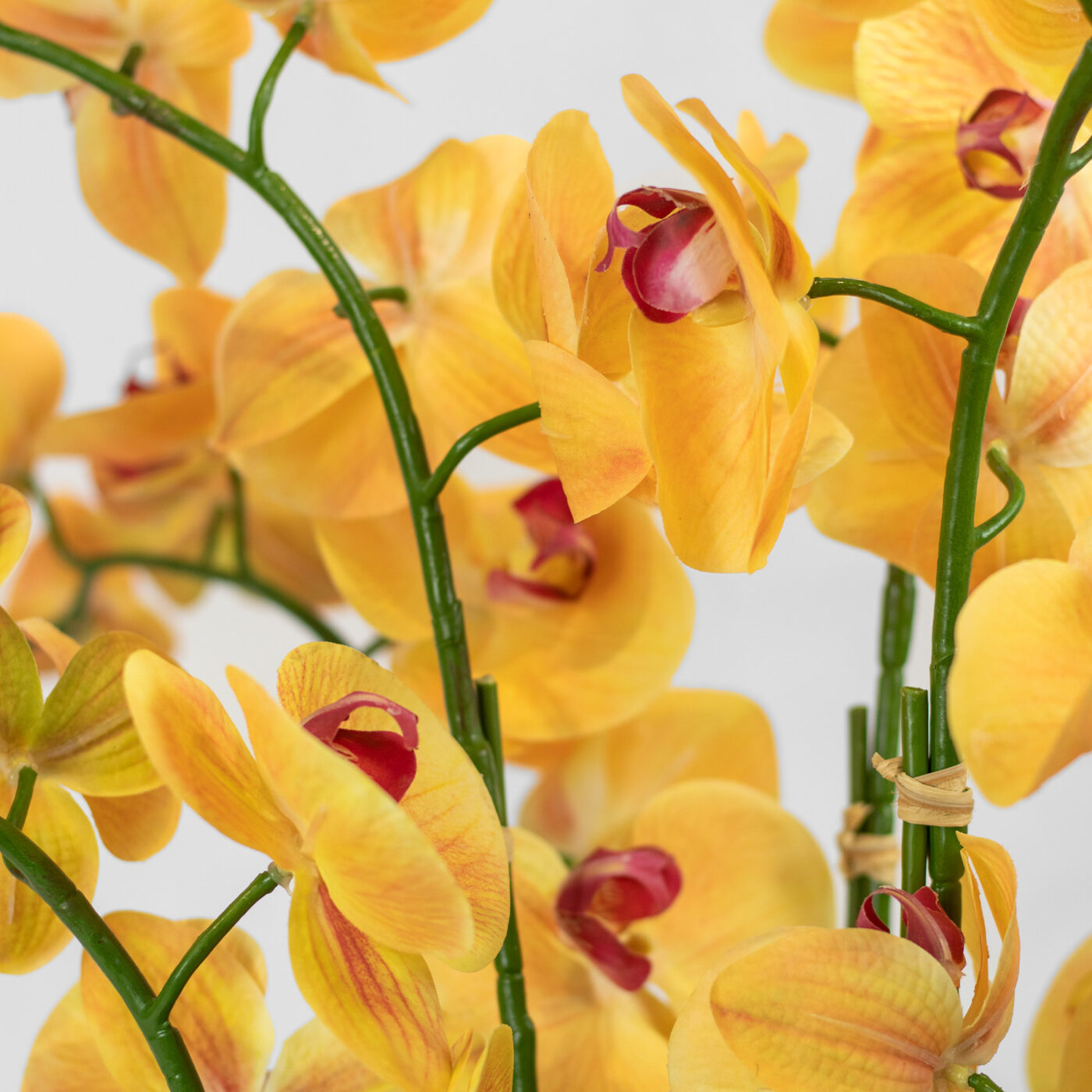 PHALAENOPSIS YELLOW IN COPPER RIBBED PLANTER - 80CM