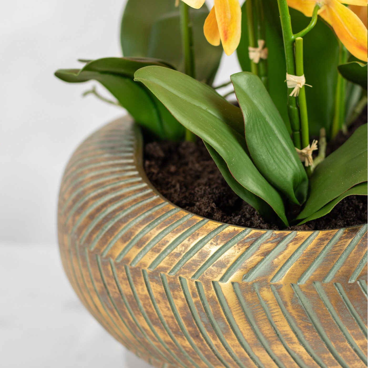 PHALAENOPSIS YELLOW IN COPPER RIBBED PLANTER - 80CM