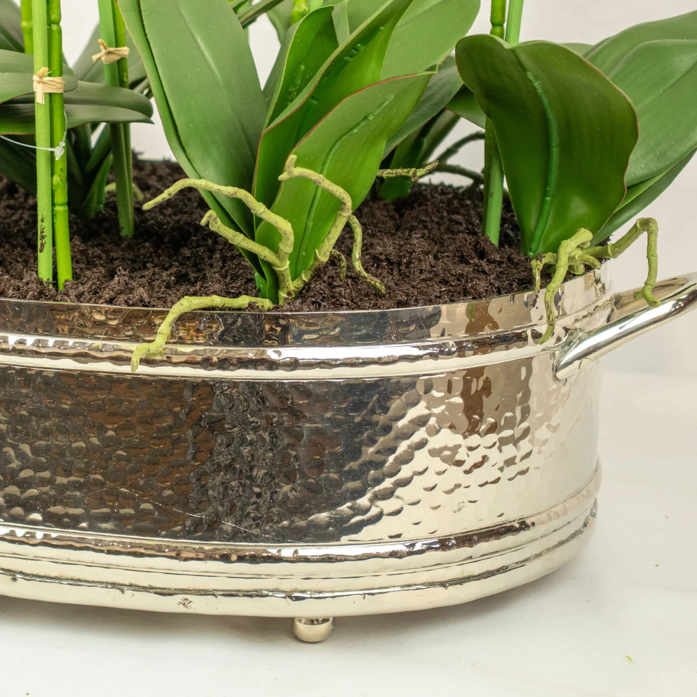 PHALAENOPSIS WHITE MIX IN OBLONG SILVER PLANTER