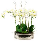 PHALAENOPSIS ORCHID WHITE WITH TWIG IN OVAL SILVER PLANTER SM