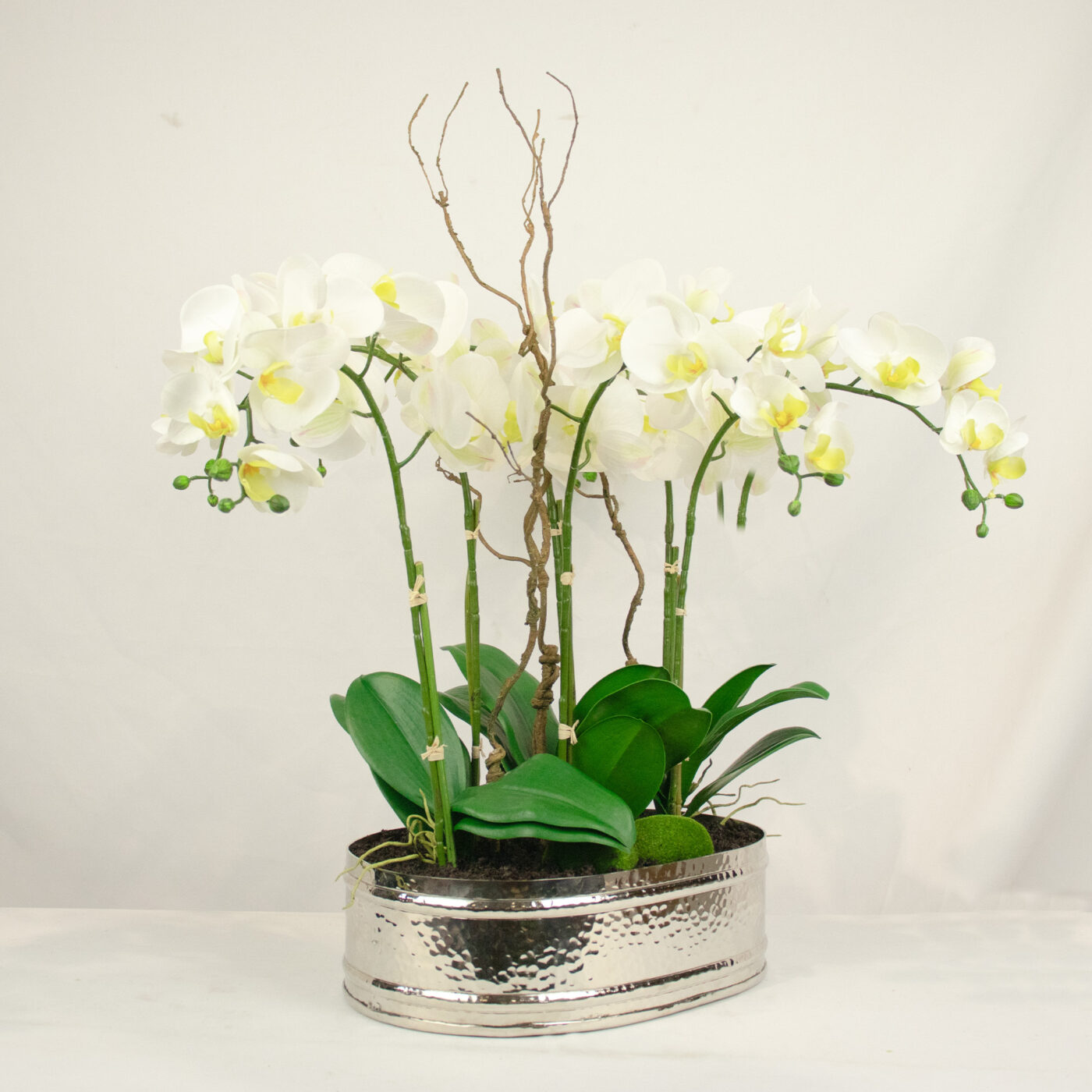 PHALAENOPSIS ORCHID WHITE WITH TWIG IN OVAL SILVER PLANTER SM