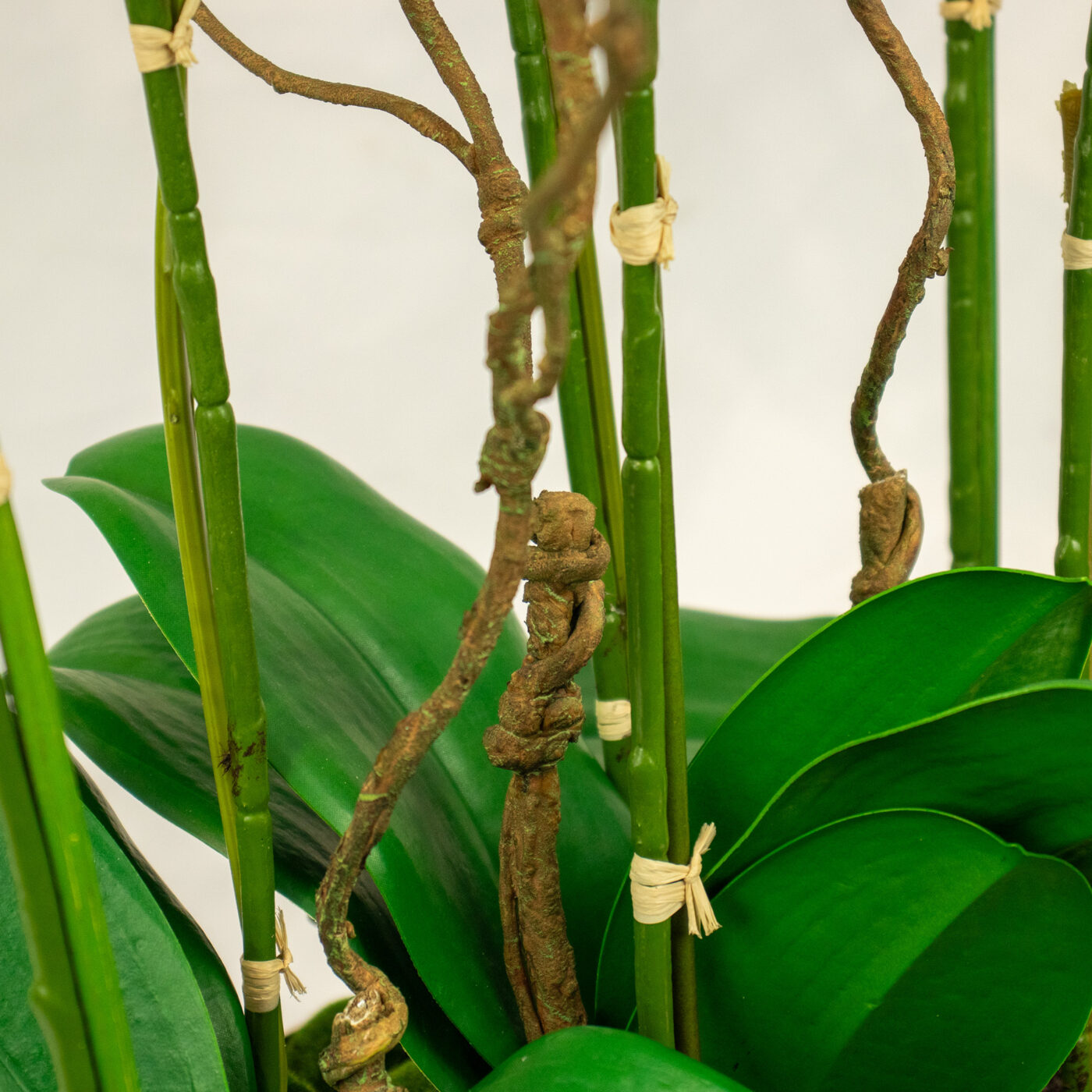 PHALAENOPSIS ORCHID WHITE WITH TWIG IN OVAL SILVER PLANTER SM