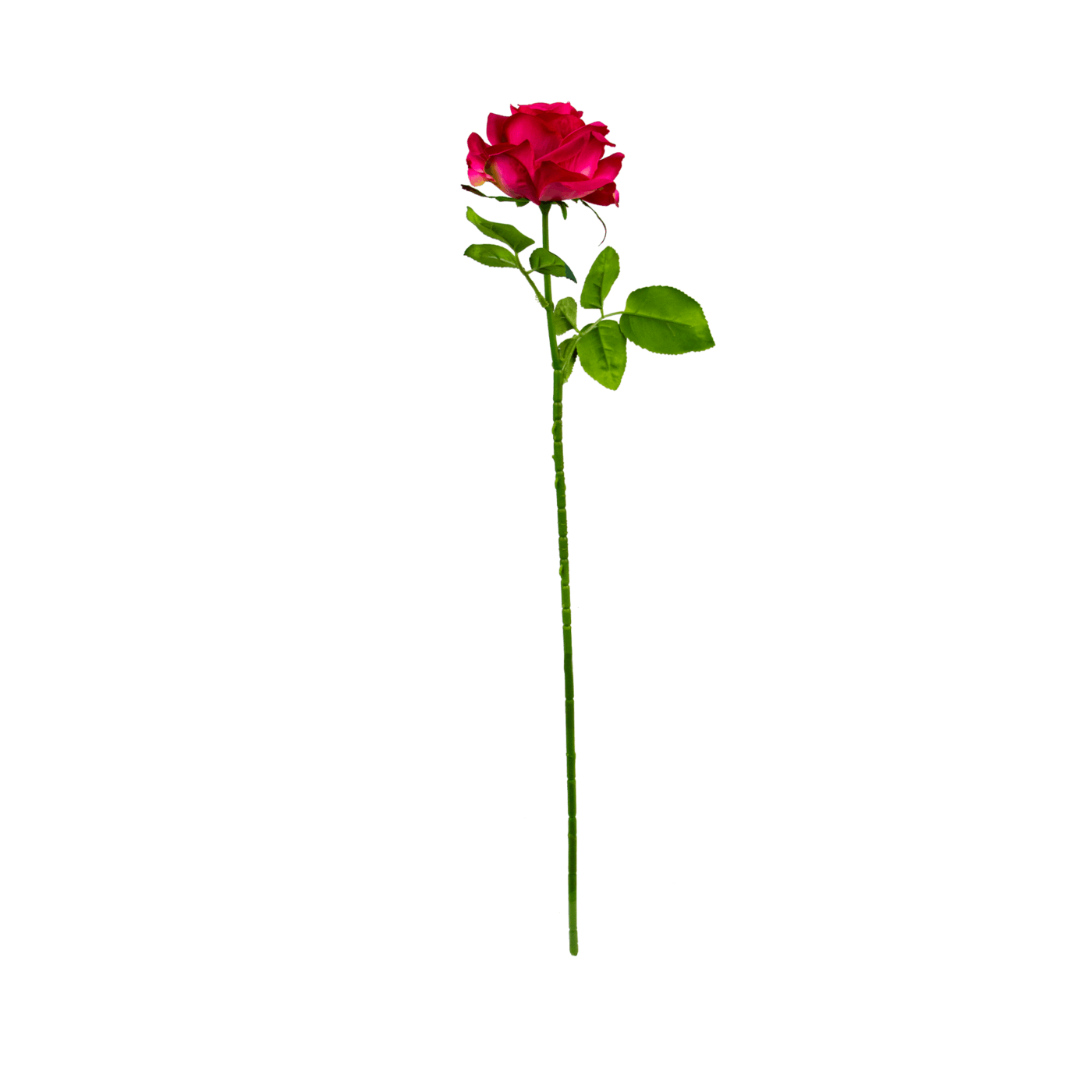 ROSE OPEN STEM PINK BEAUTY 62CM