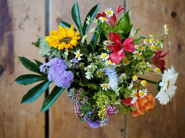 flower stems - bunch of assorted flowers