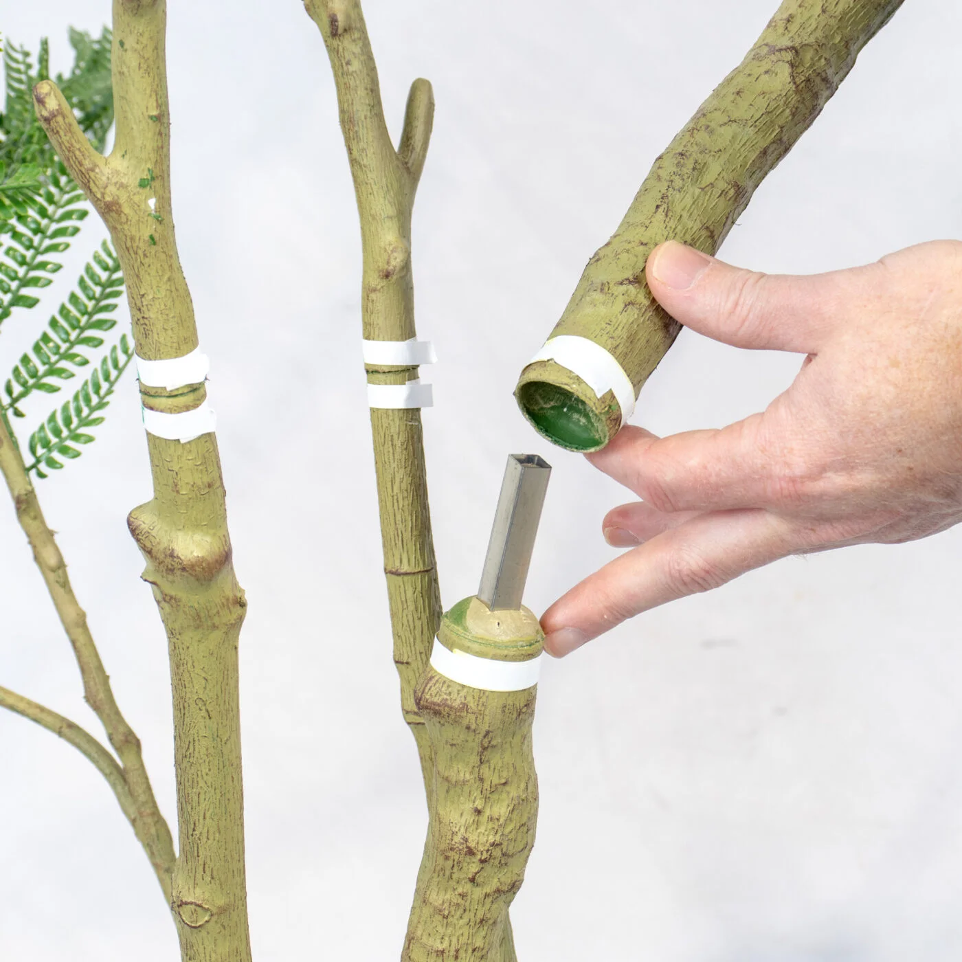 ACACIA TREE IN BPPP 210 CM GR