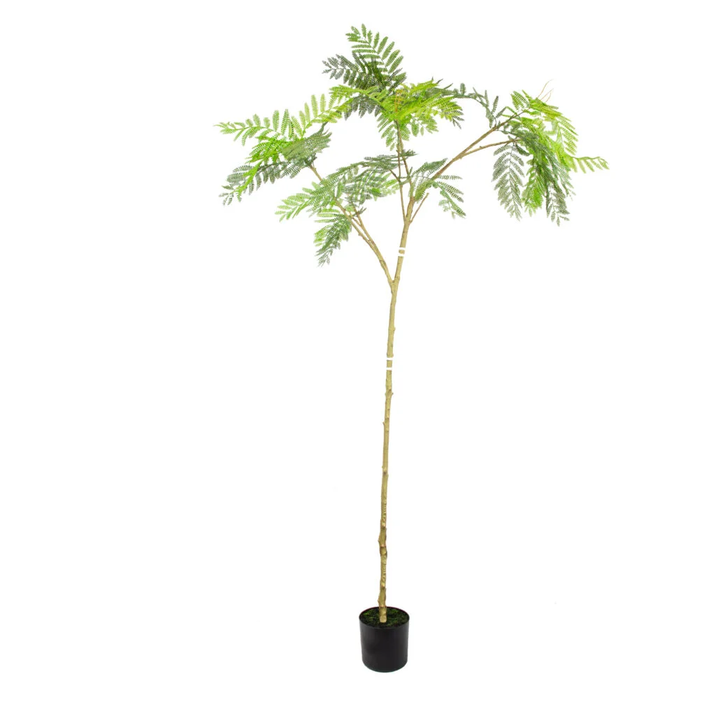 ACA/ACACTREE210