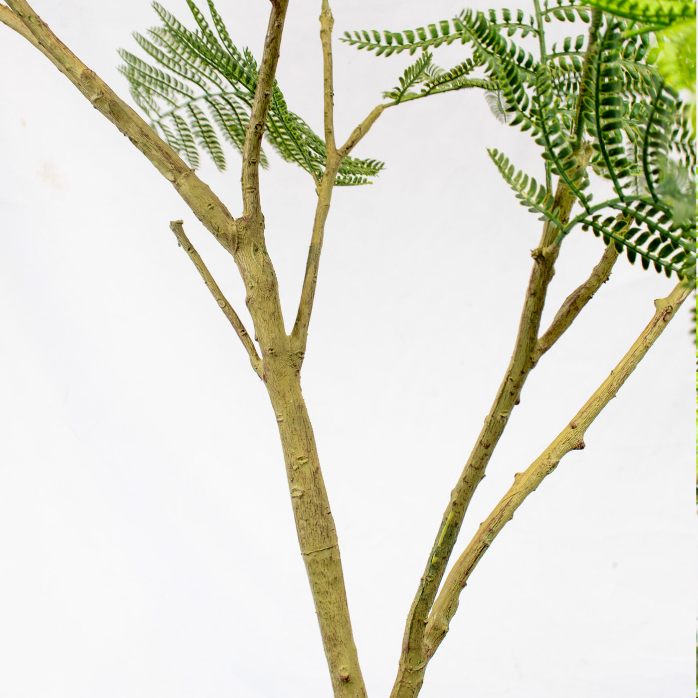 ACA/ACACTREE210