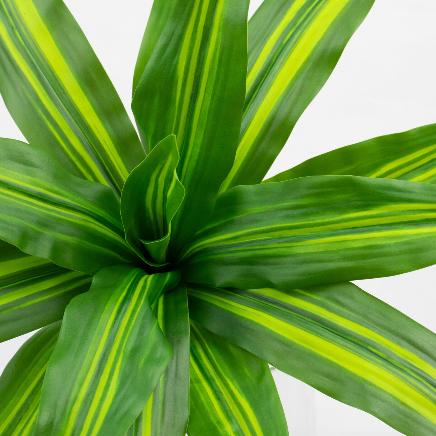 Dracena Fragrans Bush 17" – Artificial Indoor Plant Pick