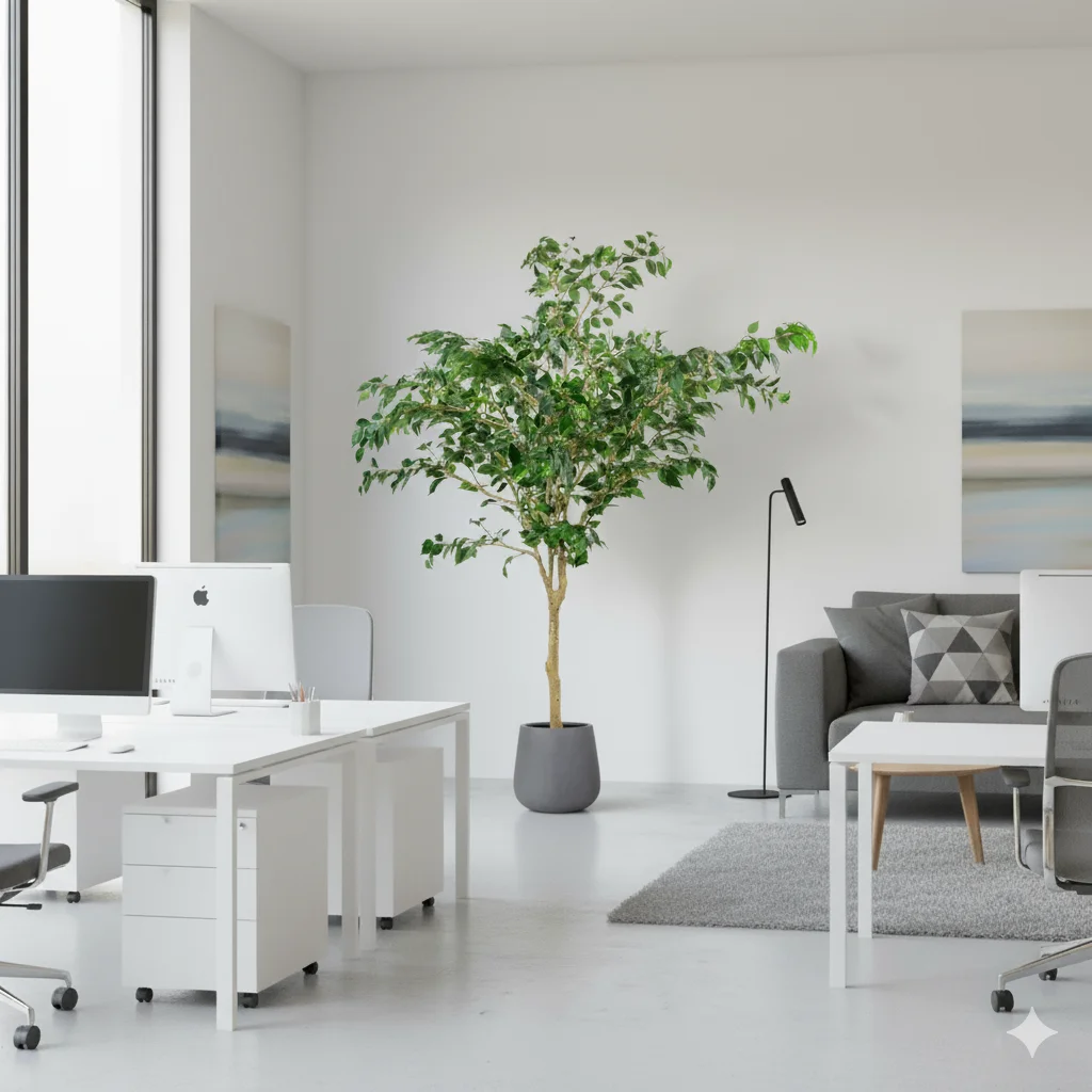 Artificial Ficus Tree 220cm in a grey planter situated in an office setting.