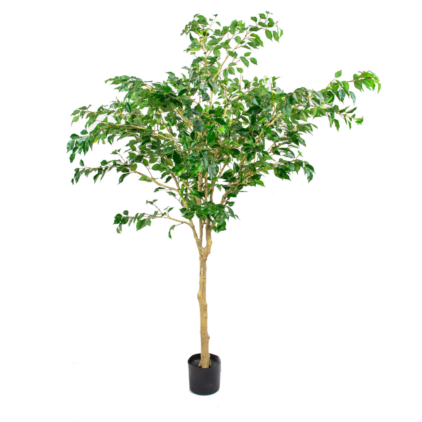 Artificial Ficus Tree 220cm