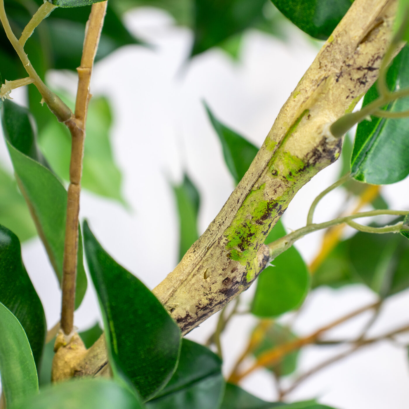 Artificial Ficus Tree 220cm