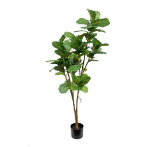 FIDDLE LEAF TREE 7 BRANCH - GREEN 182CM