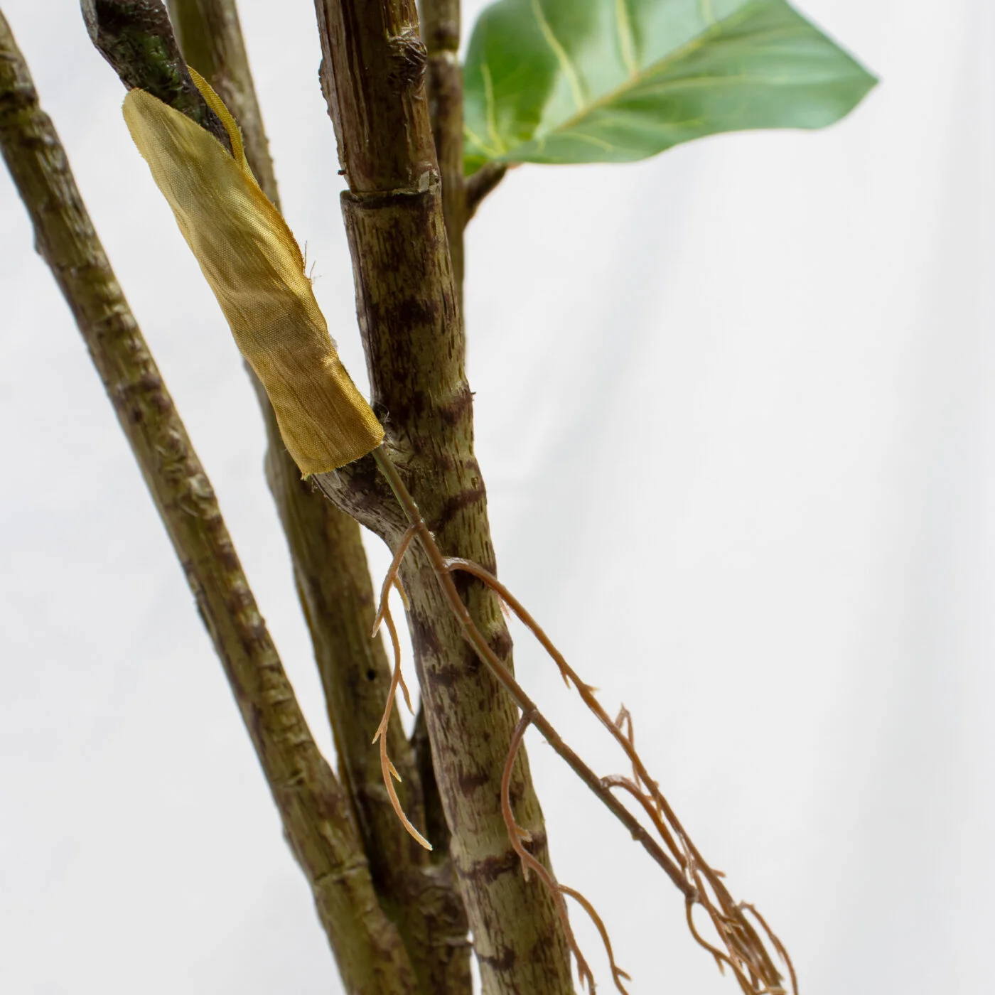 FIDDLE TREE X7 6' GR
